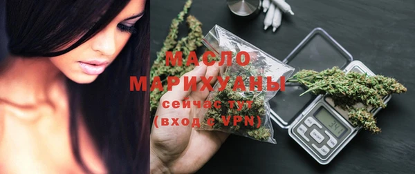 шишки Магас