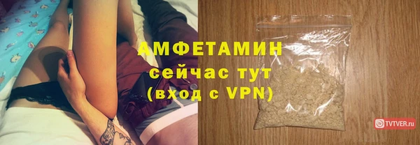 шишки Магас