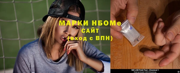 шишки Магас