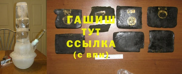 шишки Магас