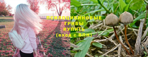 шишки Магас