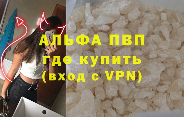 шишки Магас