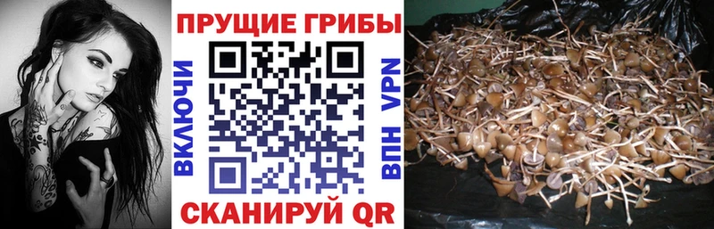 Псилоцибиновые грибы MAGIC MUSHROOMS  Купить  Трёхгорный 